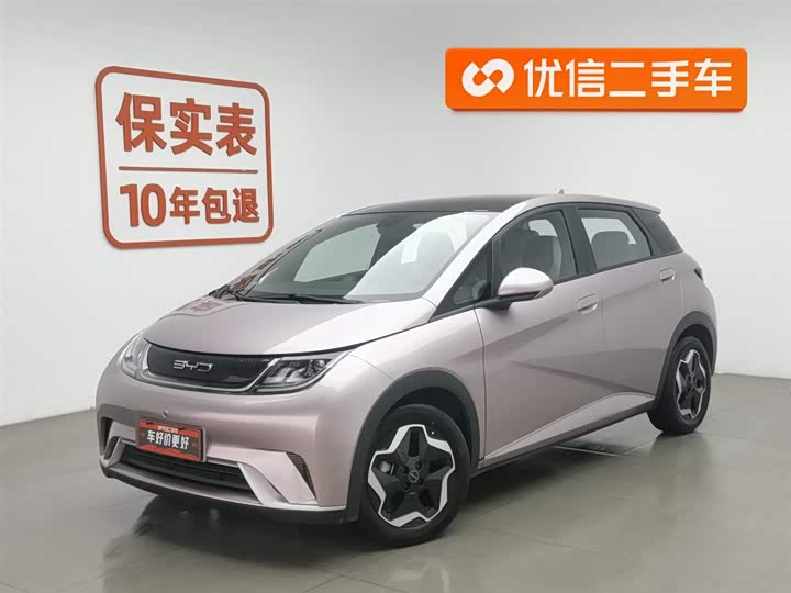 Фото 1 - BYD Dolphin