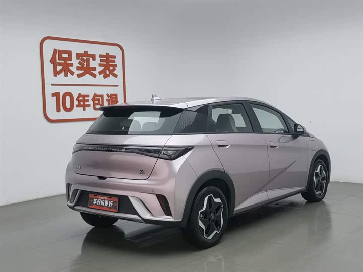 Фото 2 - BYD Dolphin