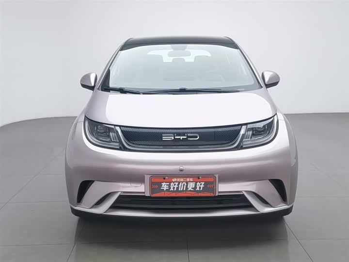 Фото 3 - BYD Dolphin