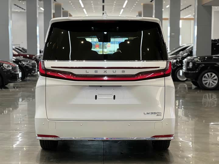 Фото 5 - Lexus LM