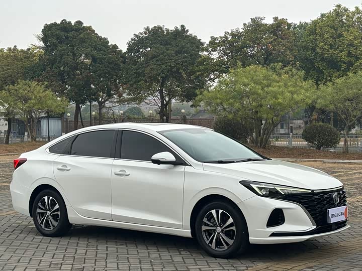 Фото 3 - Changan Eado Plus