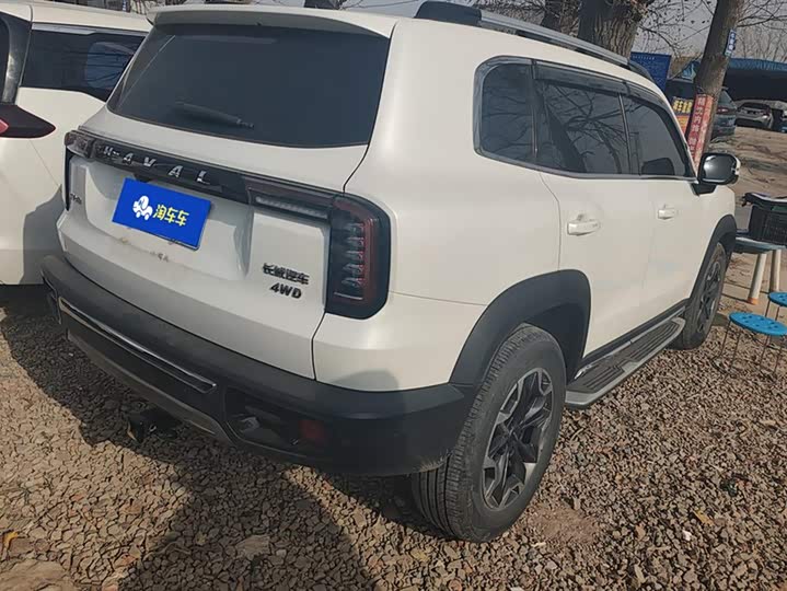 Фото 3 - Haval Dargo