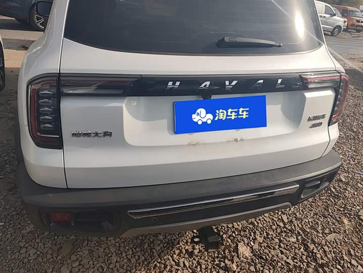 Фото 4 - Haval Dargo