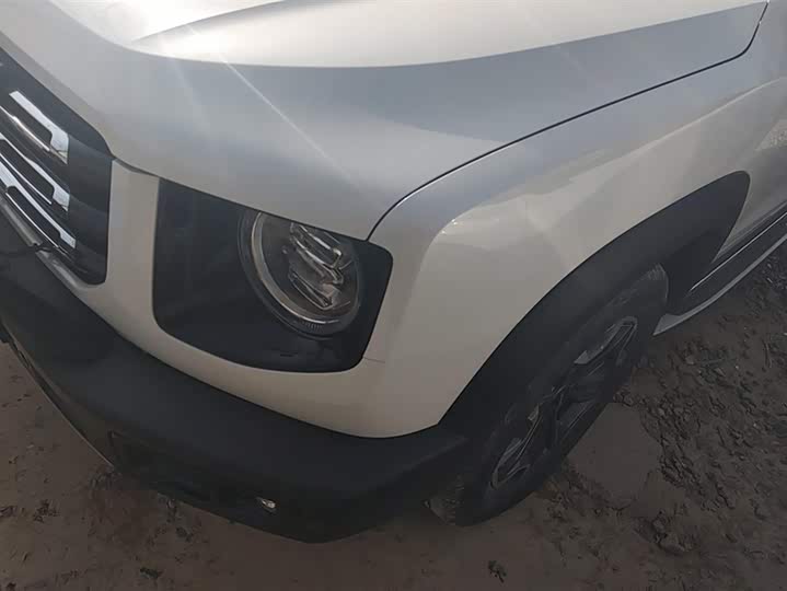 Фото 5 - Haval Dargo