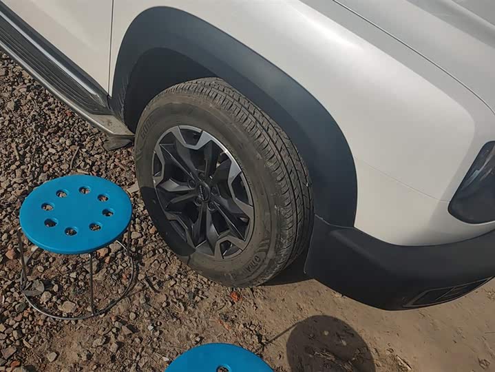 Фото 6 - Haval Dargo