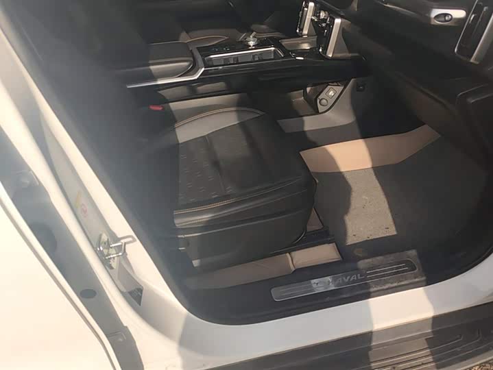 Фото 8 - Haval Dargo