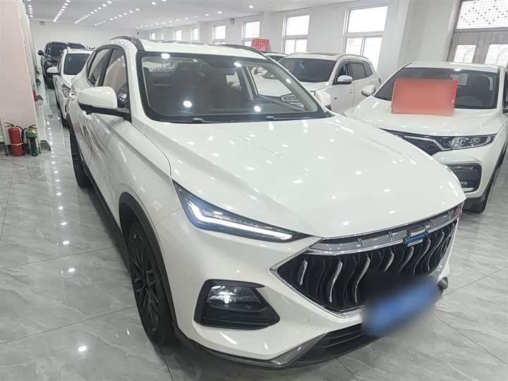 Фото 4 - Changan Oshan X5