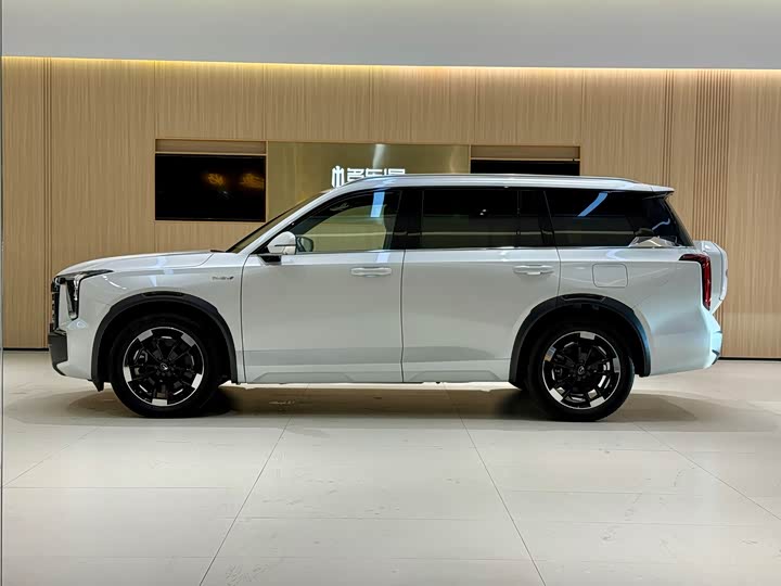 Фото 7 - GAC Trumpchi ES9