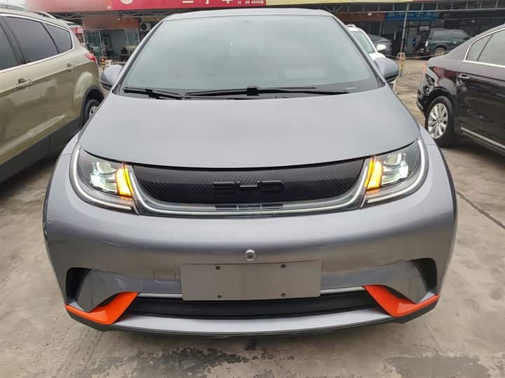 Фото 3 - BYD Dolphin