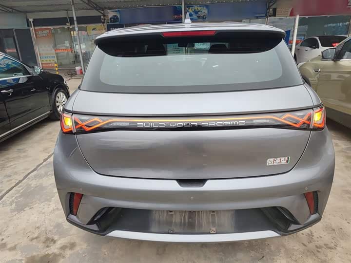 Фото 6 - BYD Dolphin