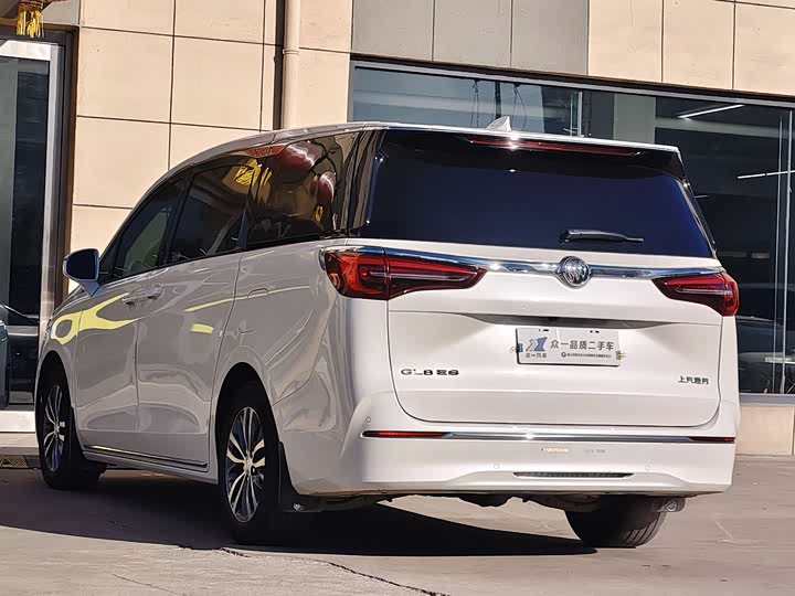 Фото 5 - Buick GL8 ES