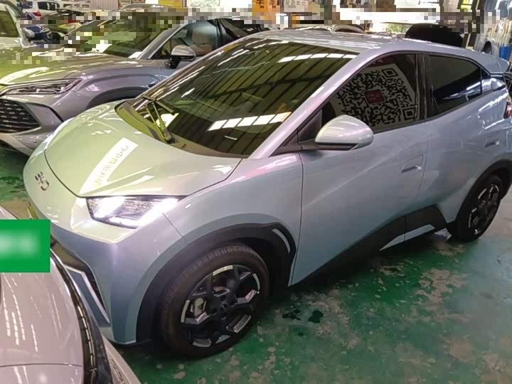 Фото 2 - BYD Seagull