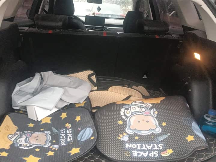 Фото 4 - Haval H6