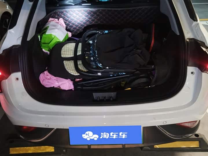 Фото 4 - Hozon V