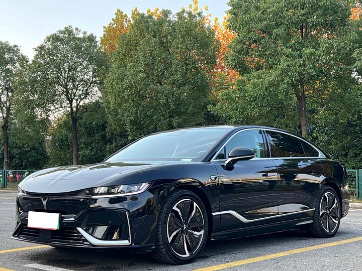 Фото 1 - Voyah Passion