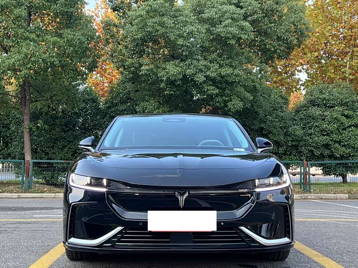 Фото 2 - Voyah Passion