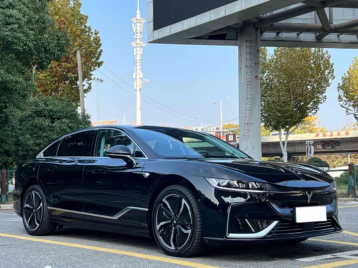 Фото 3 - Voyah Passion