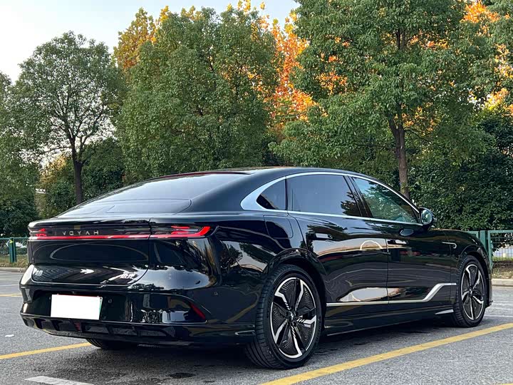 Фото 6 - Voyah Passion