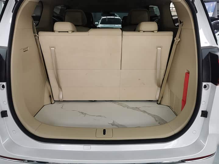 Фото 4 - Buick GL8 ES