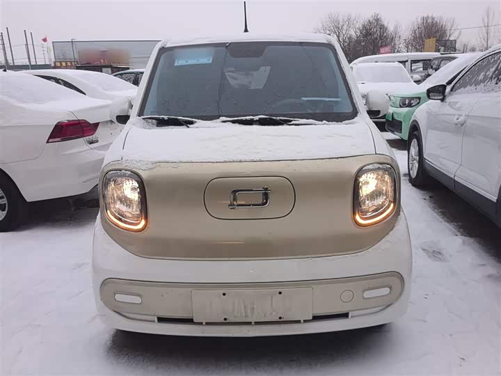 Фото 3 - Bestune Pony