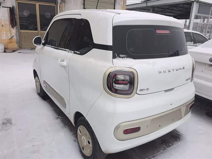 Фото 5 - Bestune Pony