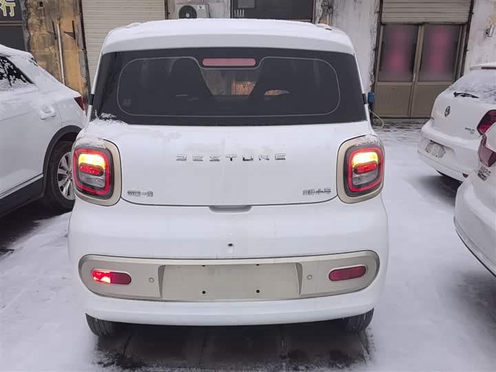 Фото 6 - Bestune Pony