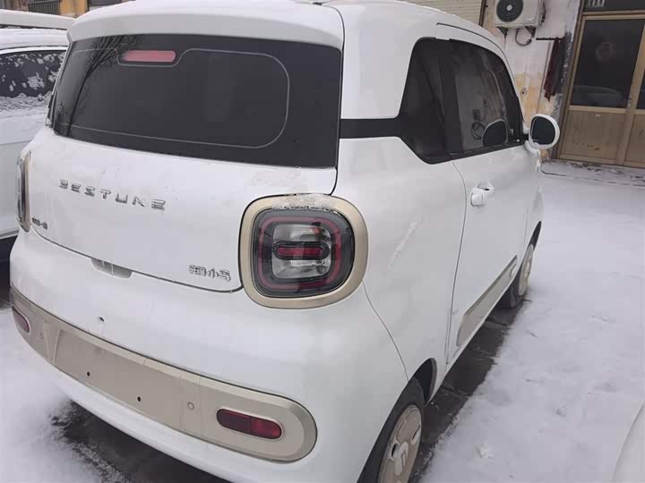 Фото 7 - Bestune Pony