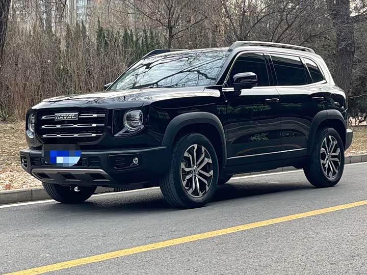 Фото 1 - Haval Dargo