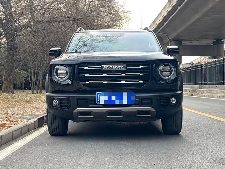 Фото 2 - Haval Dargo