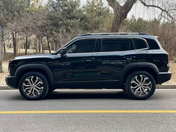 Фото 3 - Haval Dargo