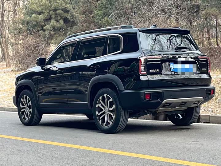 Фото 4 - Haval Dargo