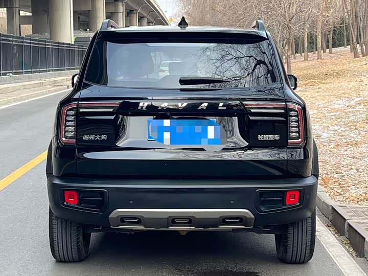 Фото 5 - Haval Dargo