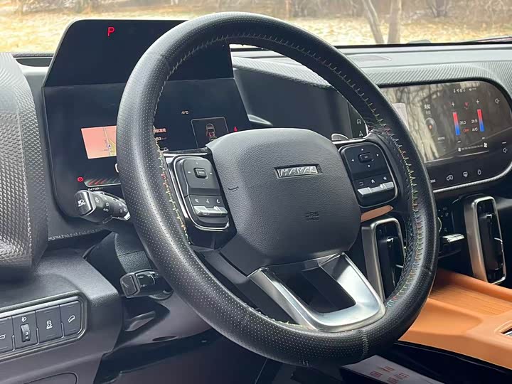 Фото 7 - Haval Dargo