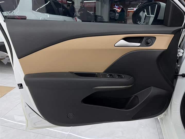 Фото 8 - Chevrolet Monza