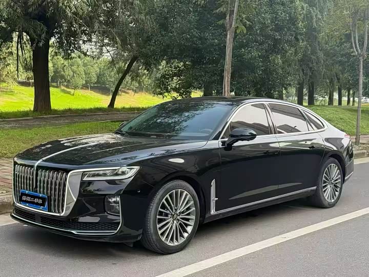 Фото 1 - Hongqi H9