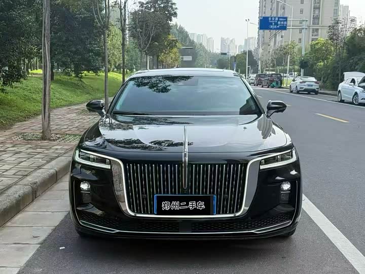 Фото 2 - Hongqi H9