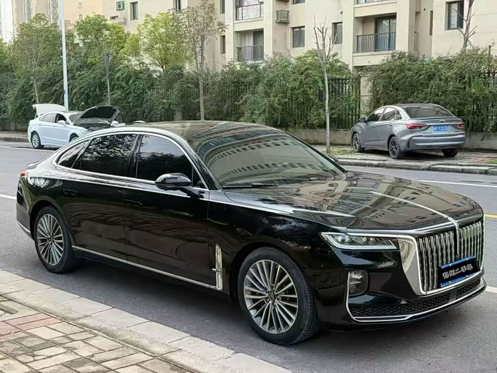 Фото 3 - Hongqi H9