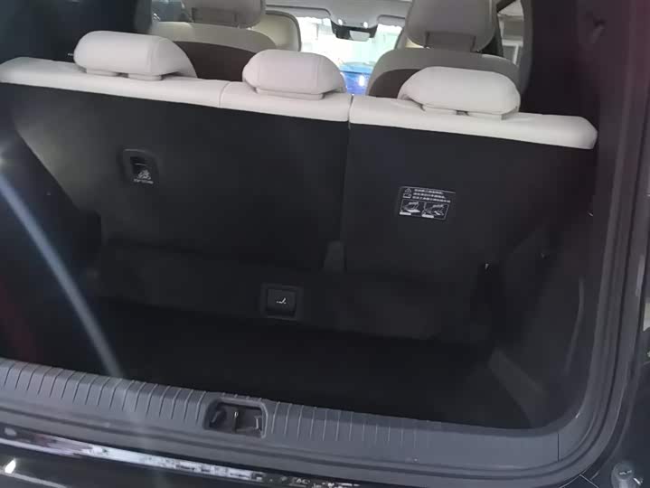 Фото 4 - BYD Xia