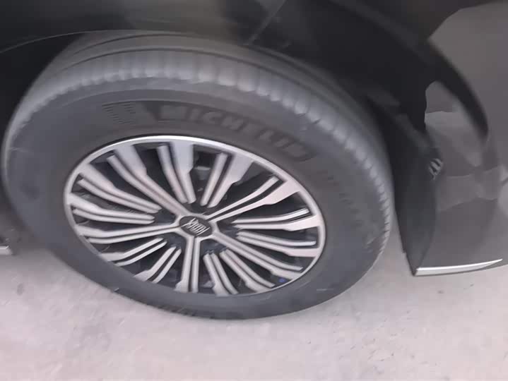 Фото 6 - BYD Xia