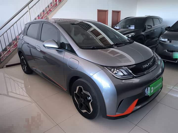 Фото 4 - BYD Dolphin