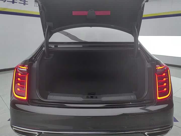 Фото 4 - Hongqi H9