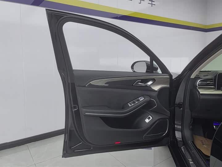 Фото 7 - Hongqi H9