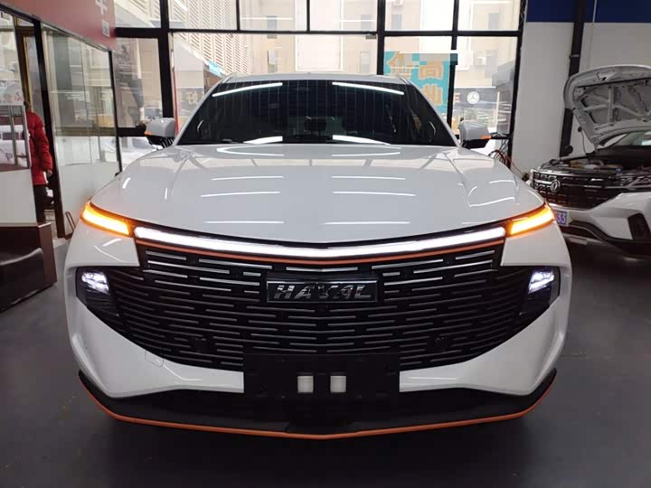 Фото 3 - Haval F7 (Monster)