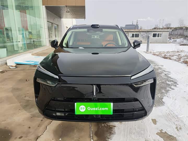 Фото 3 - Wey Lanshan