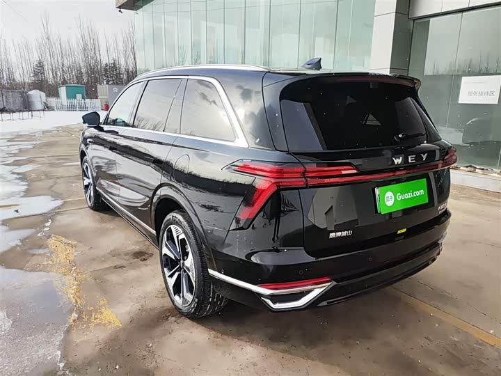 Фото 5 - Wey Lanshan