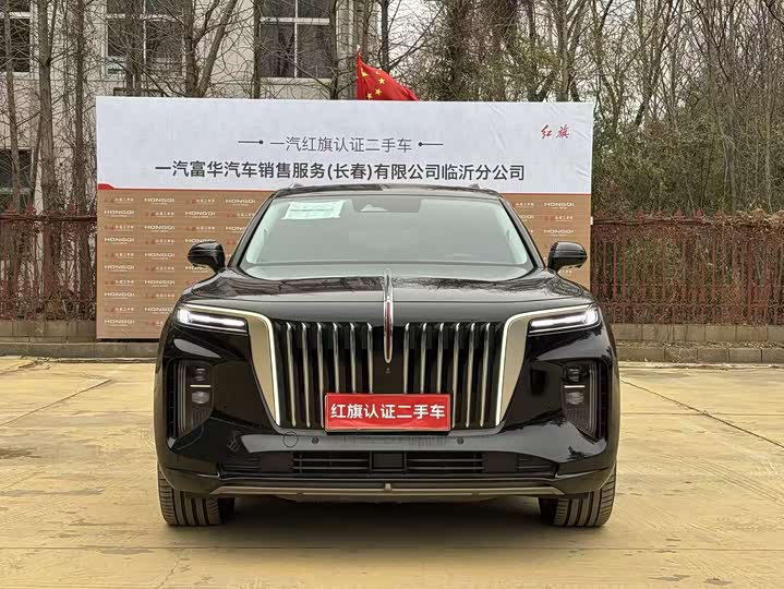 Фото 2 - Hongqi E-HS9