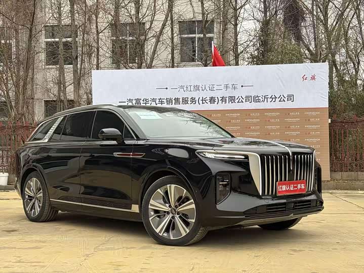 Фото 3 - Hongqi E-HS9