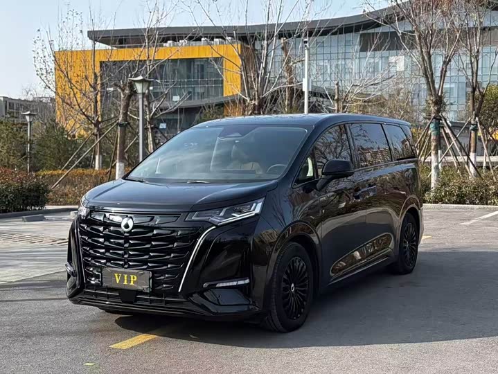 Фото 1 - Denza D9