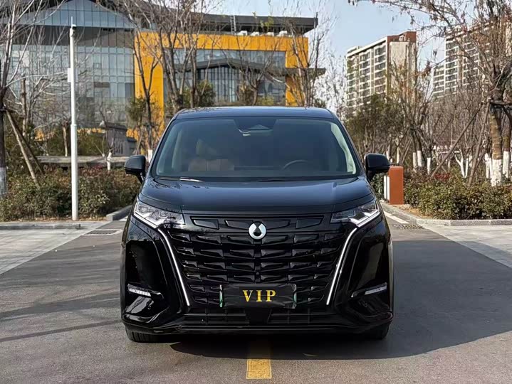 Фото 2 - Denza D9