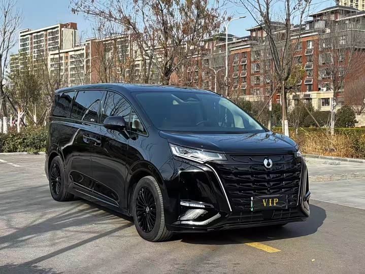 Фото 3 - Denza D9